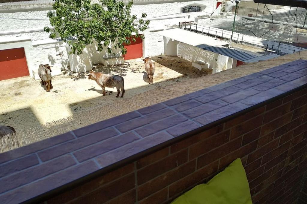 Apartamento Bonito Y Amplio Piso Junto A La Plaza De Toros. Valencia