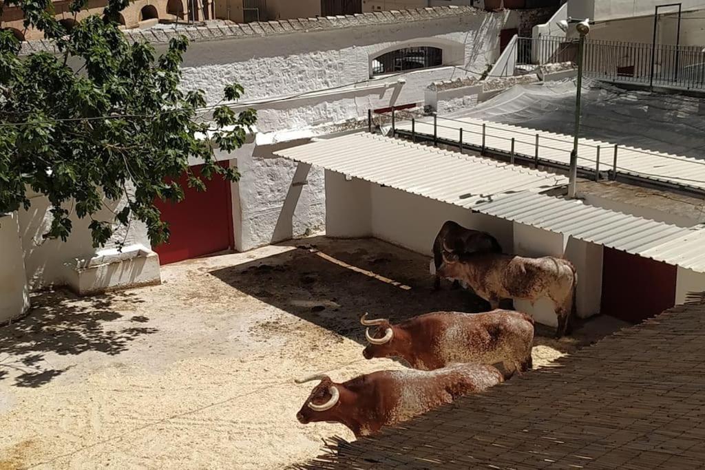 Apartamento Bonito Y Amplio Piso Junto A La Plaza De Toros. *