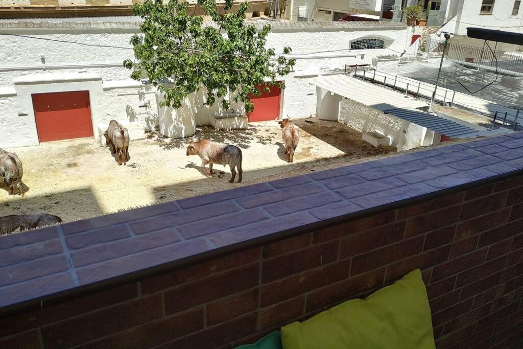 Bonito Y Amplio Piso Junto A La Plaza De Toros. Apartamento