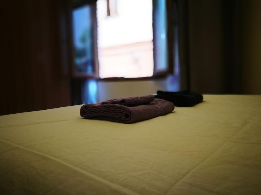 Apartamento Center Where Falla Starts
