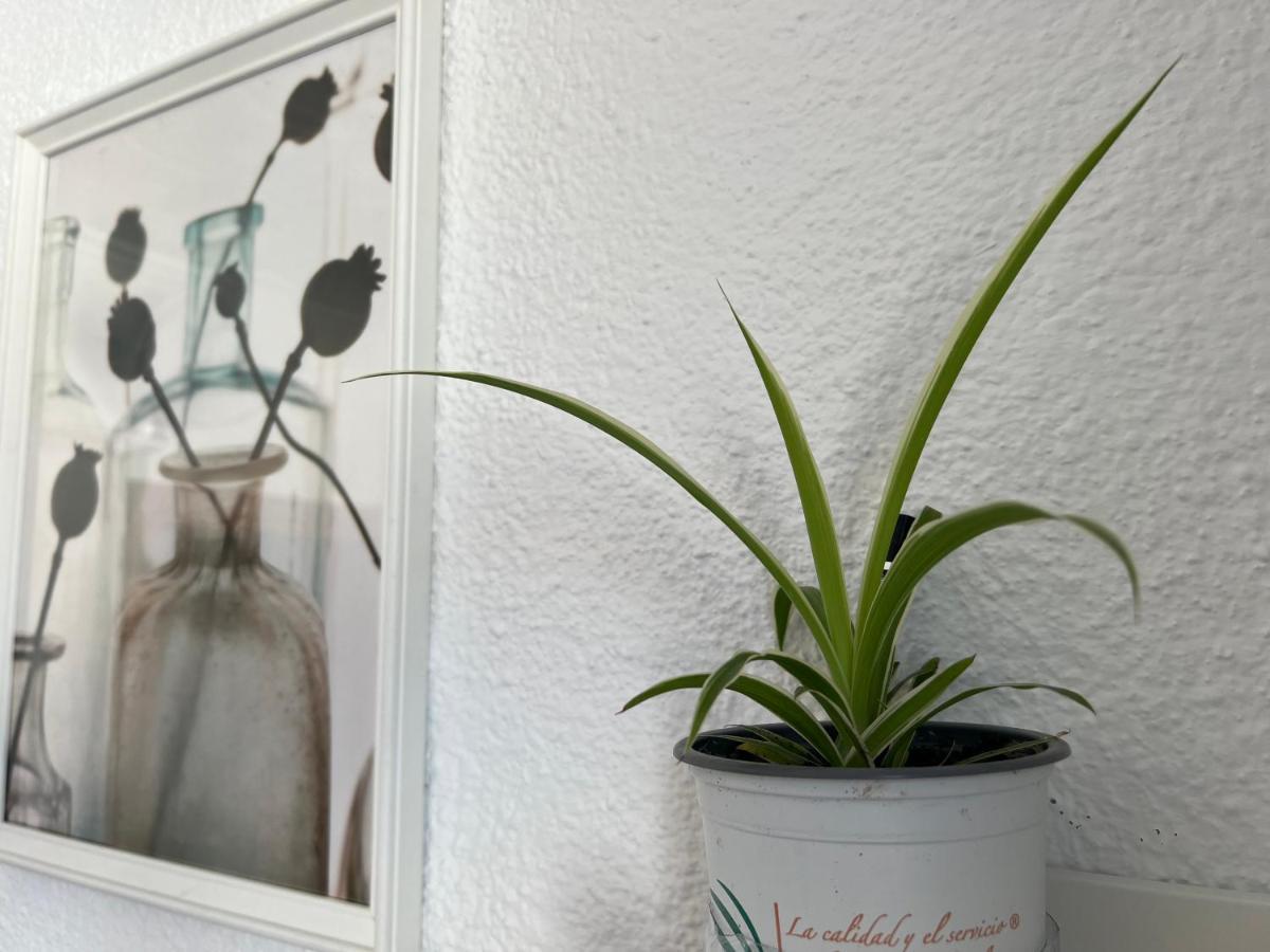 Aloha Apartamento *