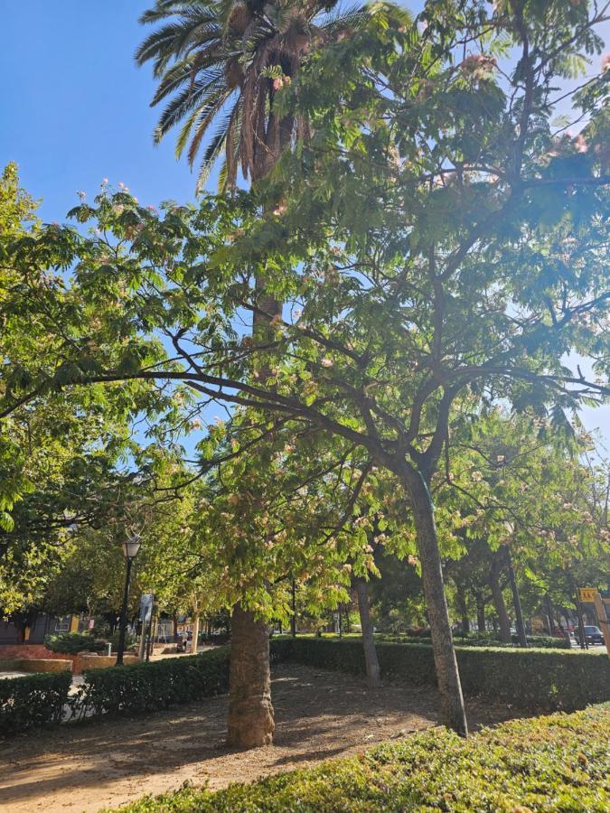 Apartamento Lounge Garden Sea Relax Valencia