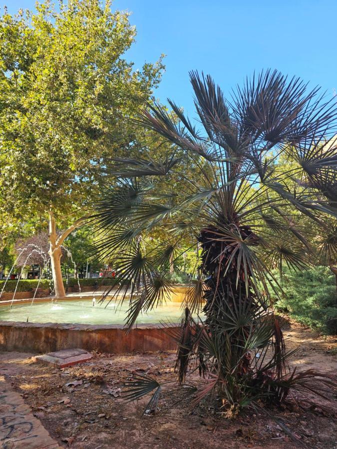 Lounge Garden Sea Relax *