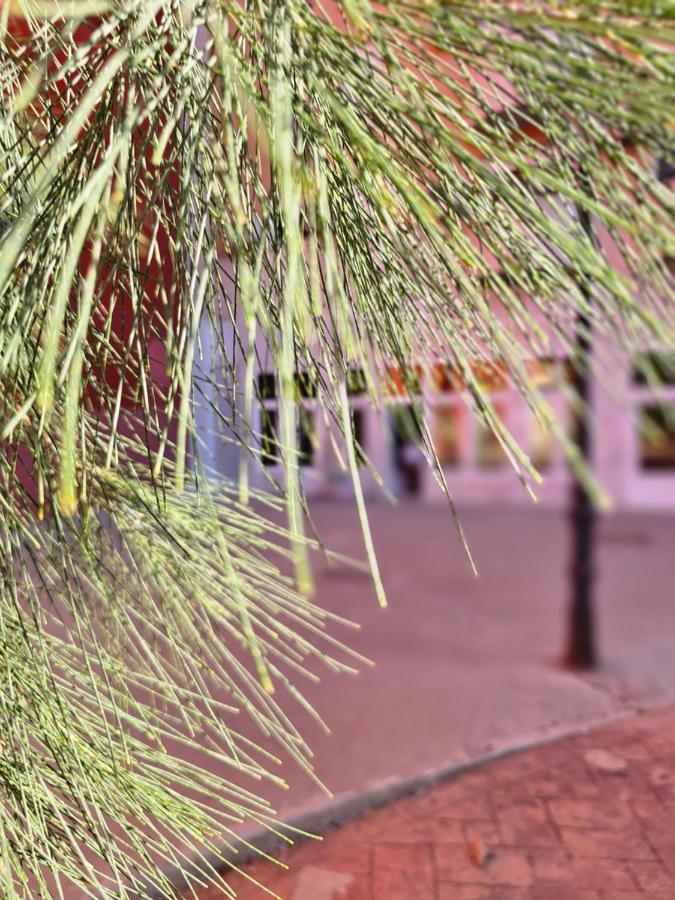 Apartamento Lounge Garden Sea Relax Valencia