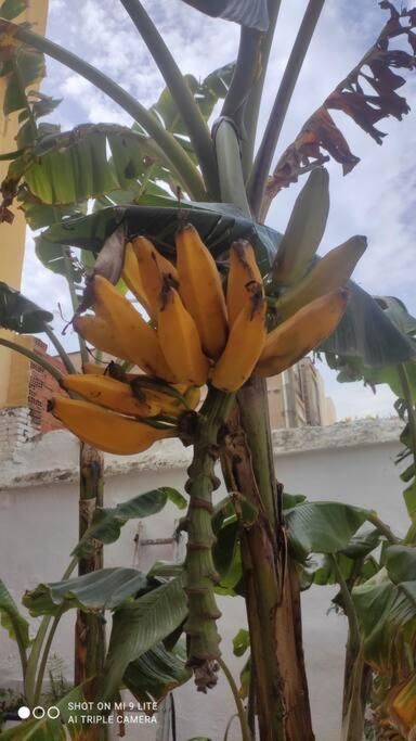 4 - Acogedora Junto A Ruzafa Con Bano Privado Y Aire Acondicionado * Valencia