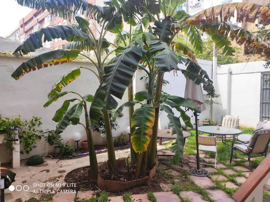 Apartamento Cozy En Ruzafa 2-4 Personas Con Aire Acondicionado Y Salida Directa A Terraza Valencia