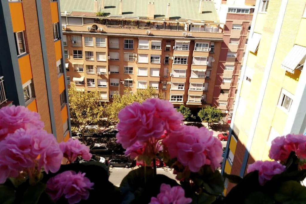 Junto Al Oceanografic Apartamento *