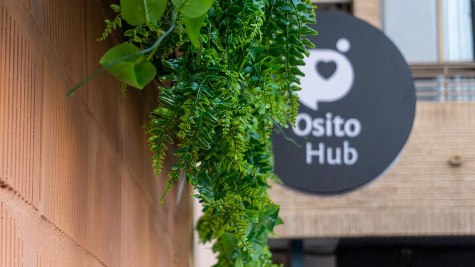 Design & Osito Hub A *