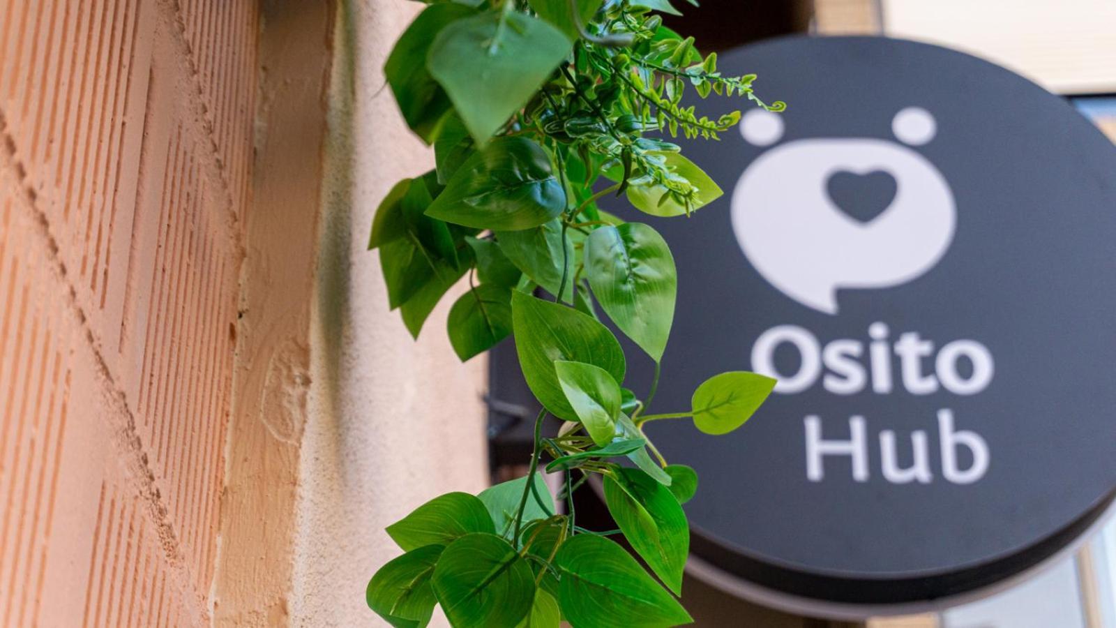 Design & Love Osito Hub E Apartamento Valencia