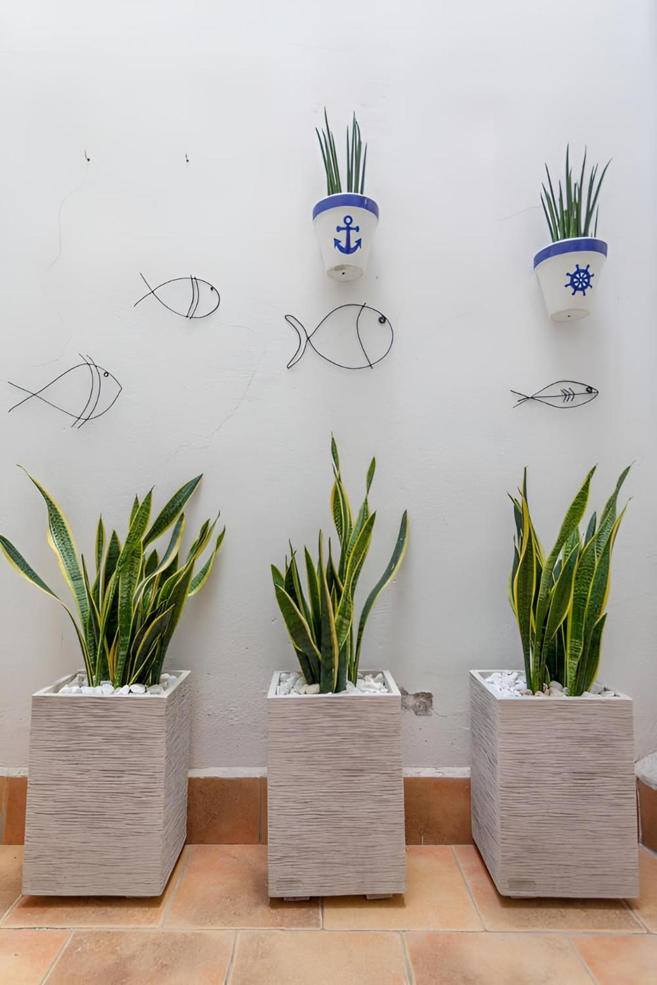 Apartamento Puerto Bello Valencia