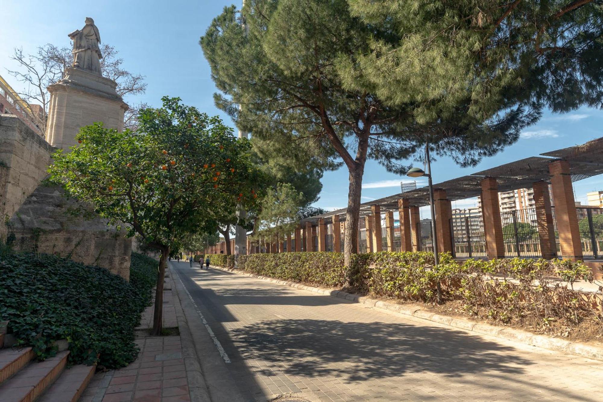 Limehome Carrer De Sant Jacint *