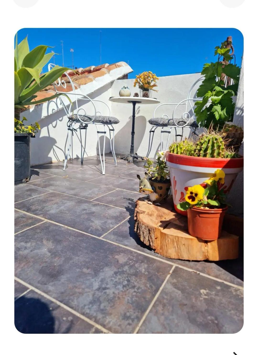 Oasis De