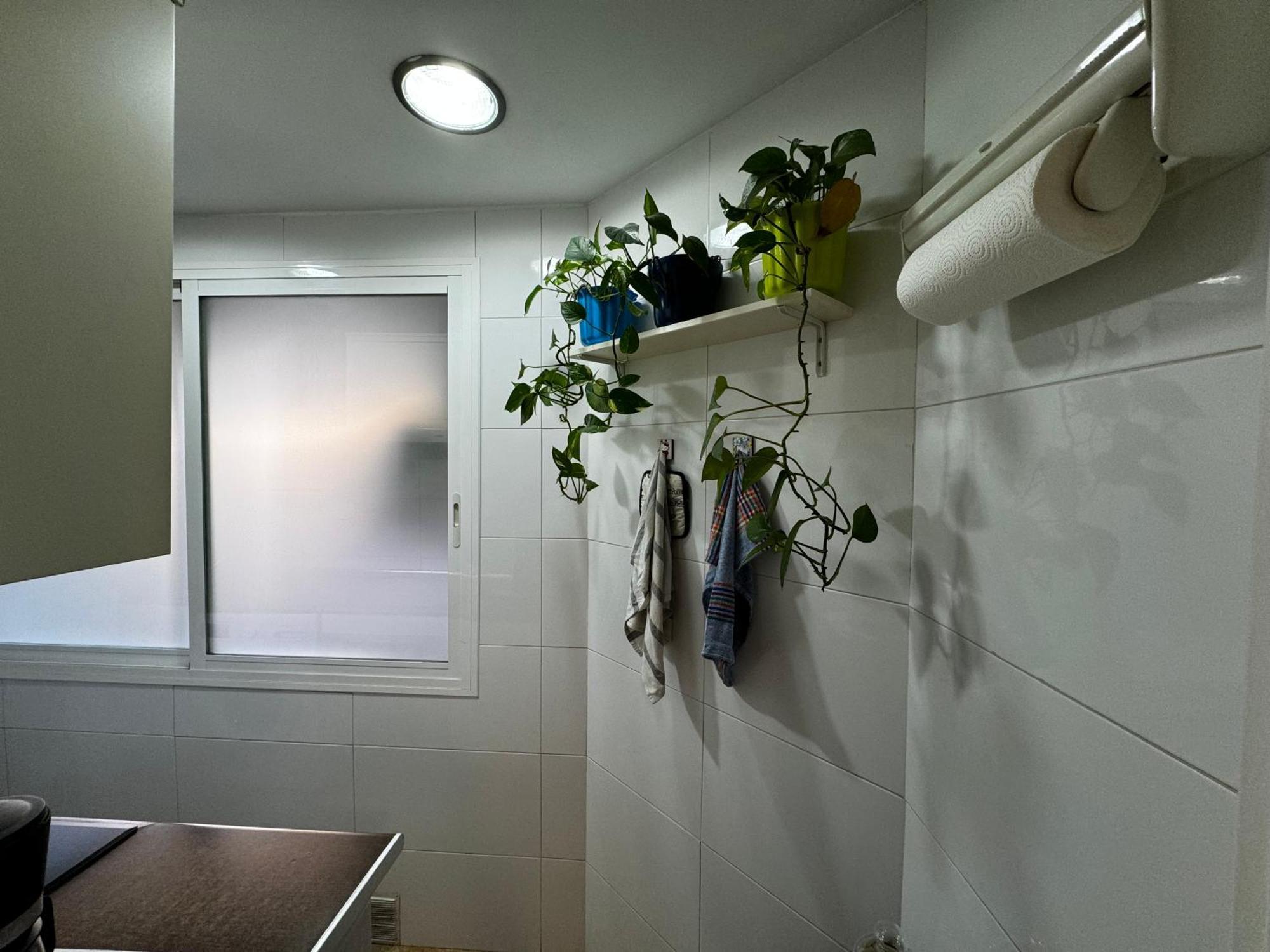 Ruzzafa Codrut Apartamento
