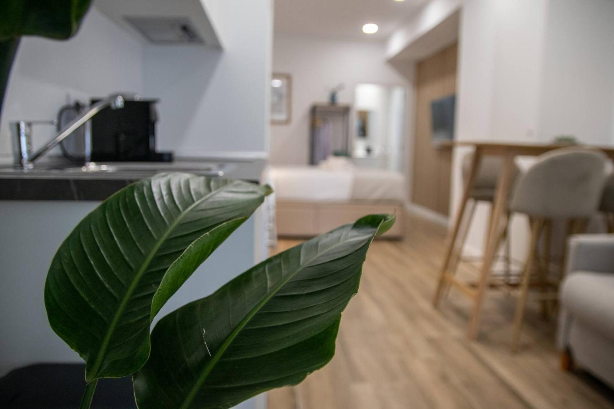 Apartment Cid Flats By Concept