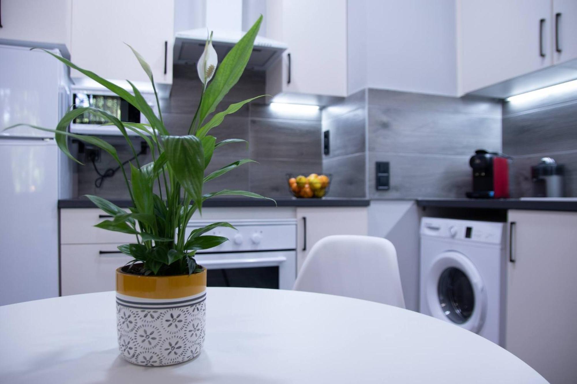 Patacona By Concept Flats Apartment