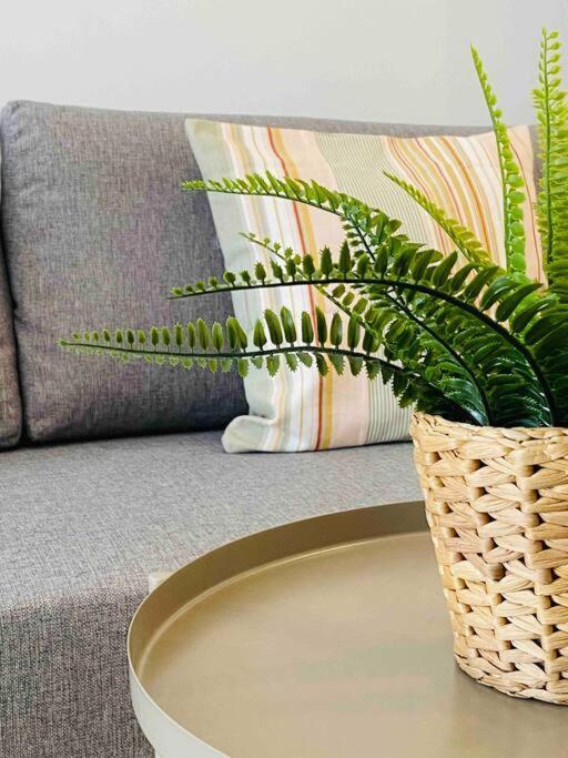 Apartamento & Cozy Flat Close The *