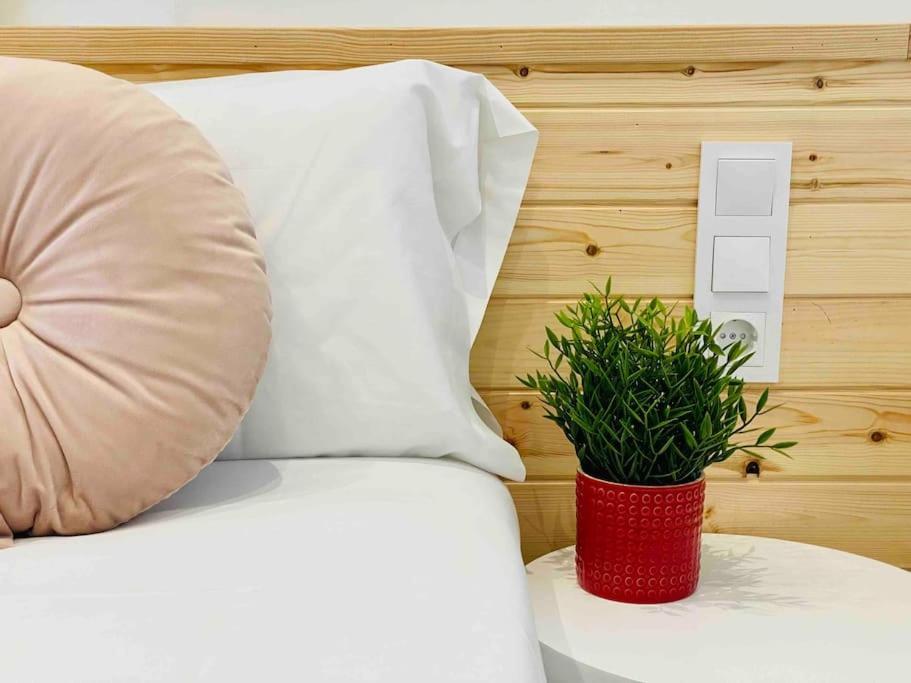 & Cozy Flat Close The Apartamento Valencia