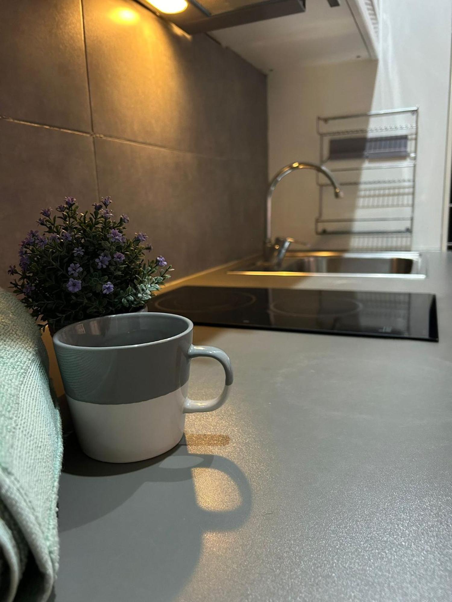 Centro Ciudad Apartment