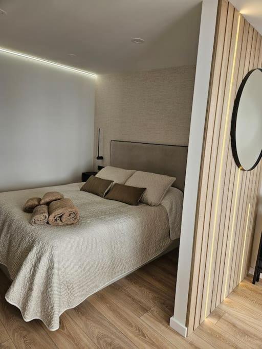 Loft Independiente De Lujo.