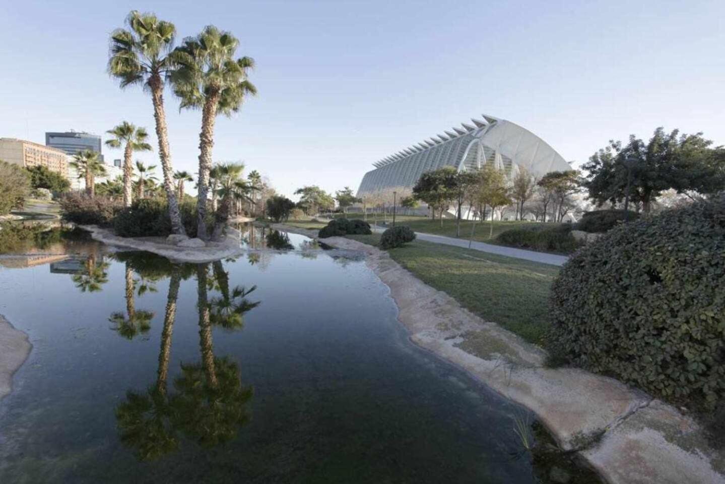 En Ciudad De Artes Y Ciencias Apartamento *