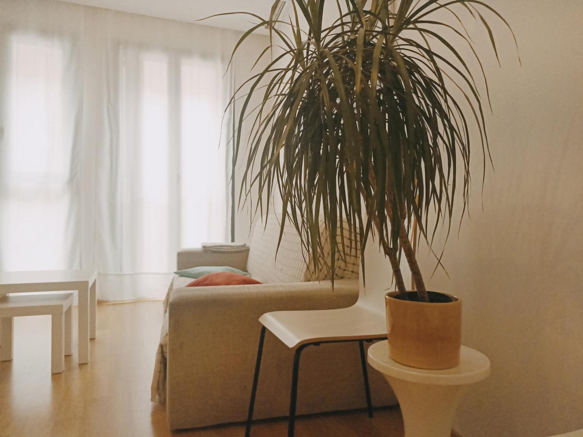 Apartamento Piso En El Centro *