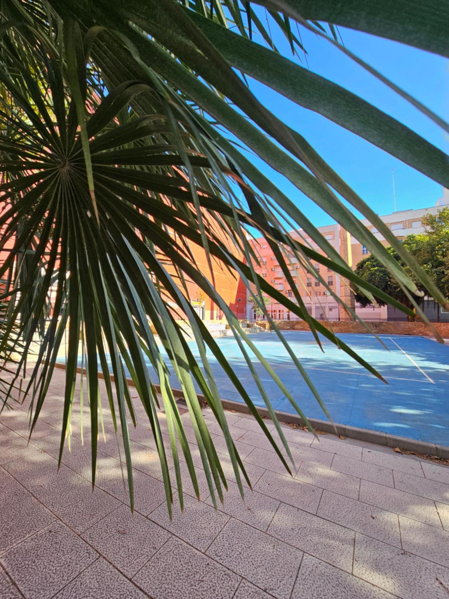 Lounge Garden Sea Mint Fresh Apartamento Valencia