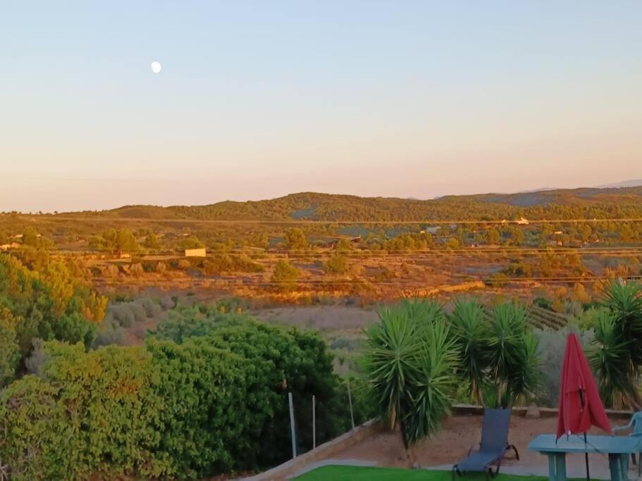 Villa Beautiful With Huge Private Pool And Vineyard View Valencia