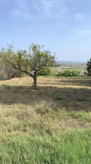 Beautiful With Huge Private Pool And Vineyard View * Valencia