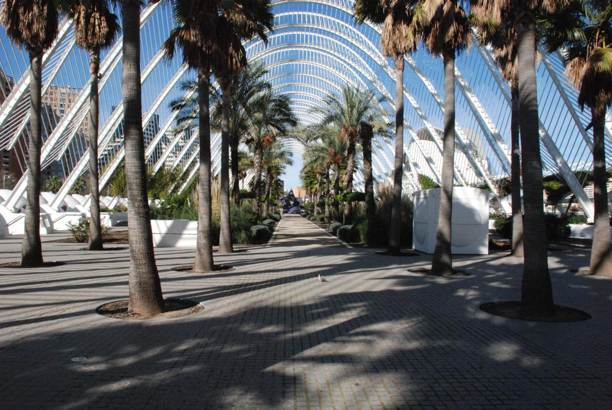 10 Pax, Ac, Wifi Gratis, Ciudad Artes Y Ciencias Apartamento *