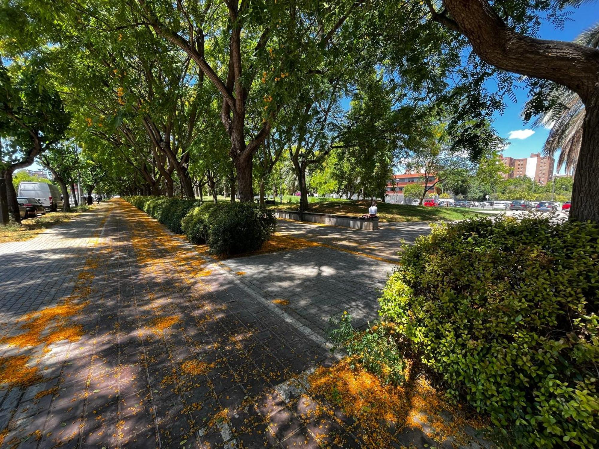 Apartamento Alojame Valencia