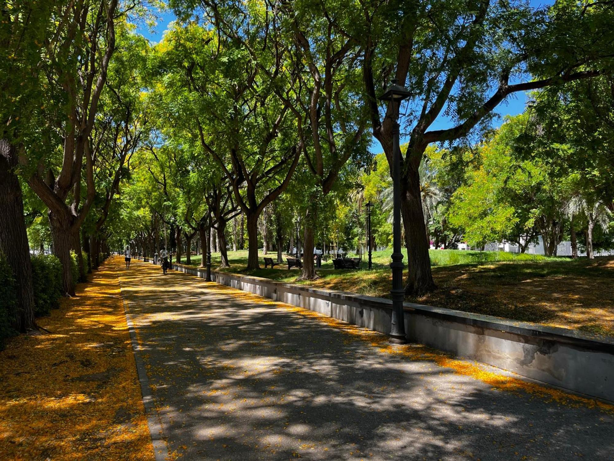 Apartamento Alojame Valencia