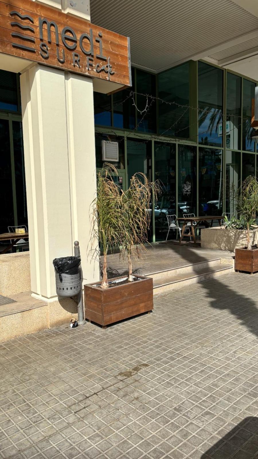 Apartamento Primera Linea De Playa Patacona Valencia