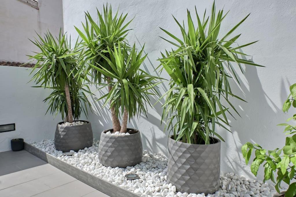 Atico Acogedor Con Amplia Terraza Plaza Del Carmen * Valencia