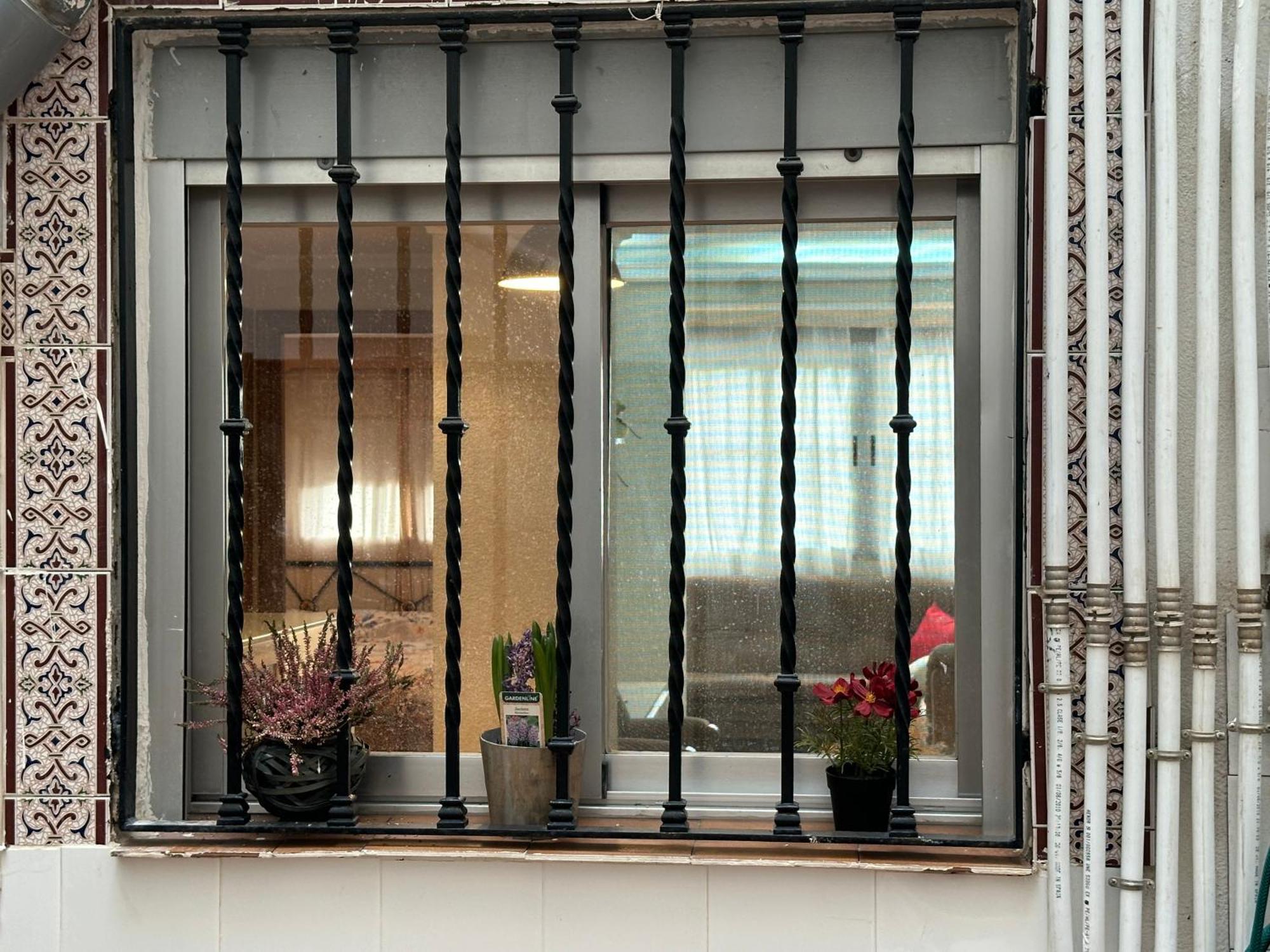 La Casa De Lili Acerca De Palacio De Musica *