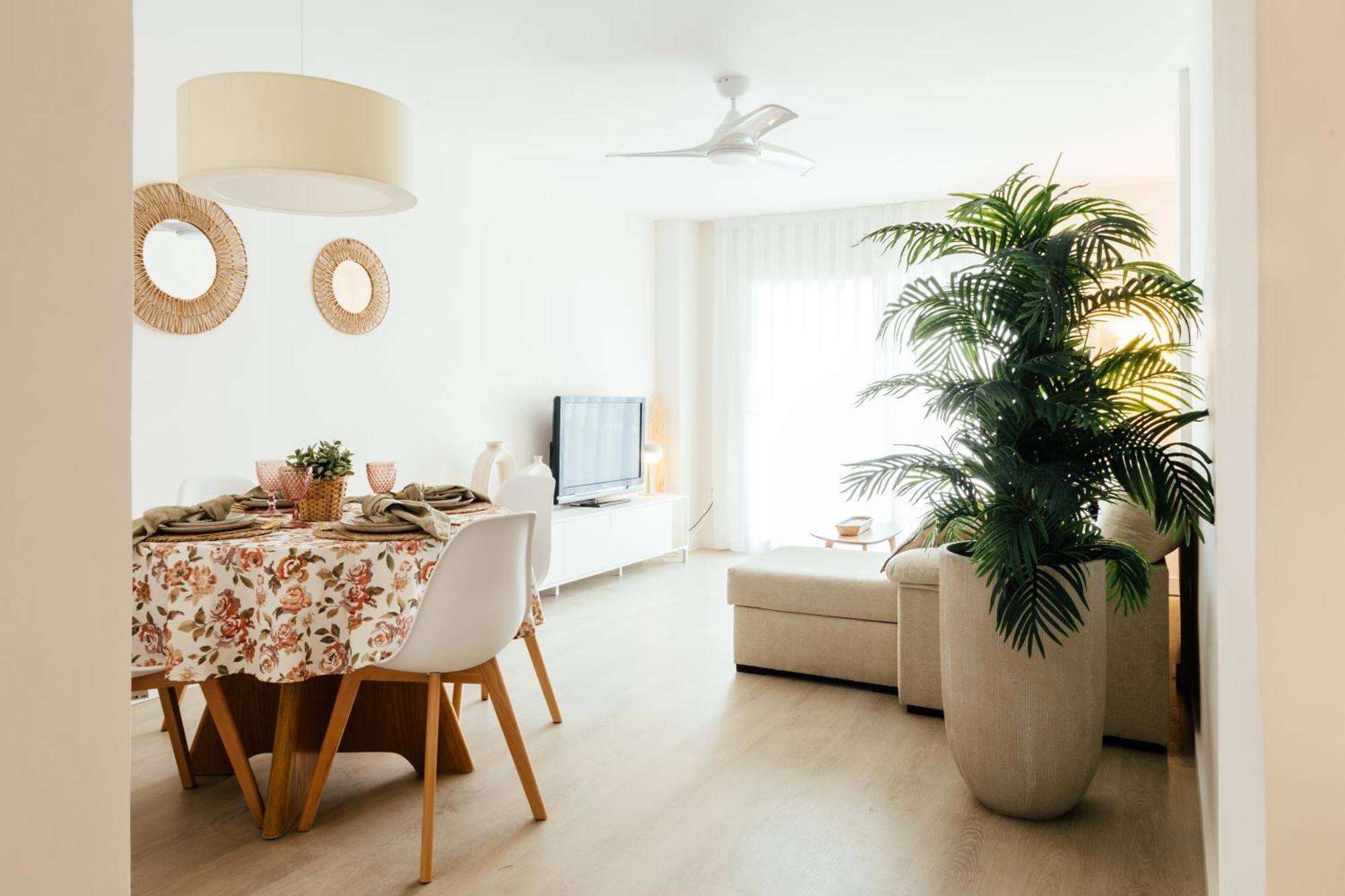 Almar Collection Cullera Racomar *