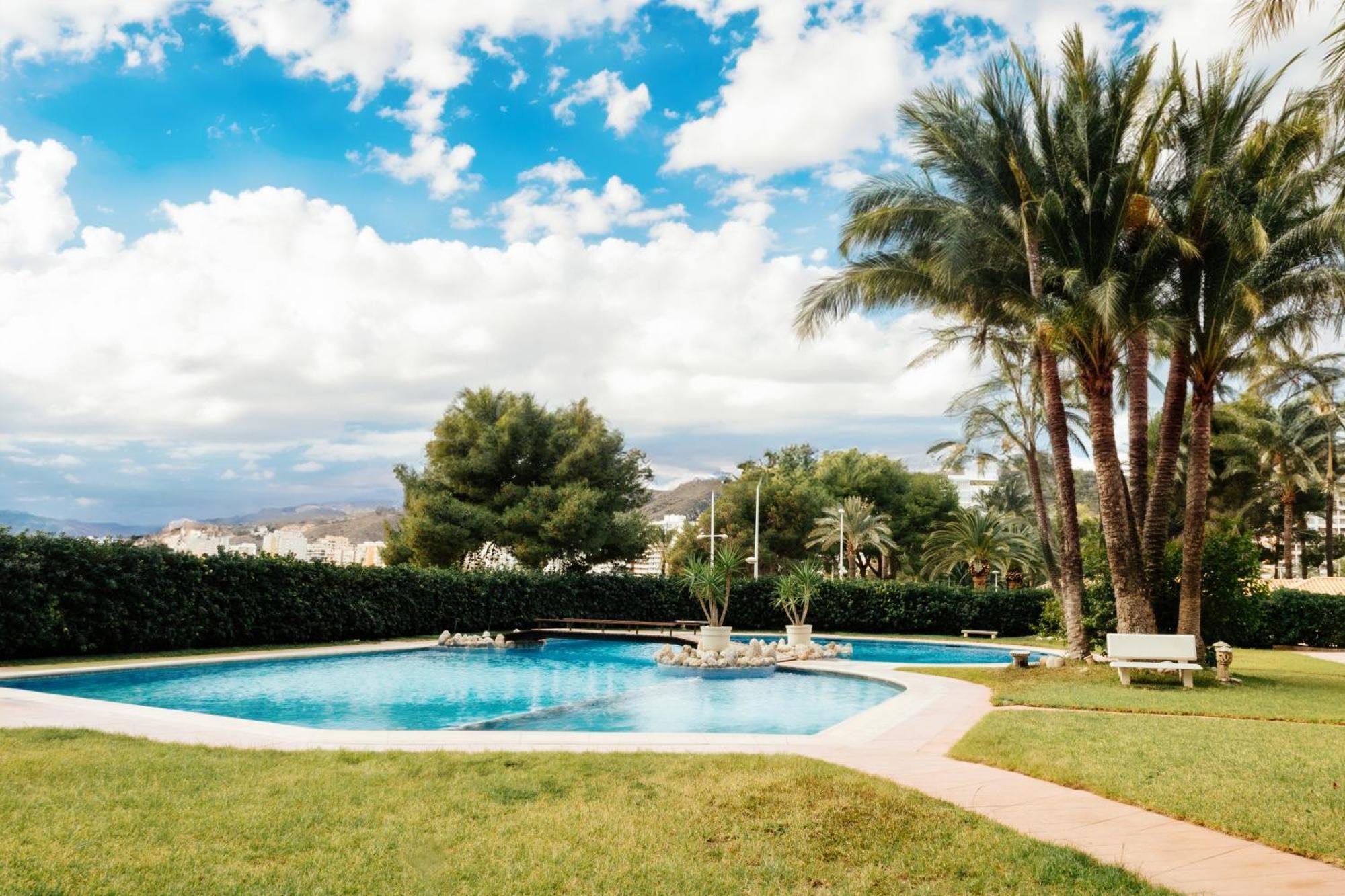 Almar Collection Cullera Racomar