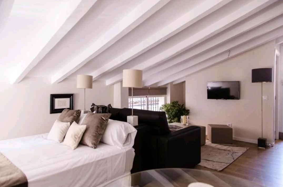 Apartment Loft Con Terraza Valencia