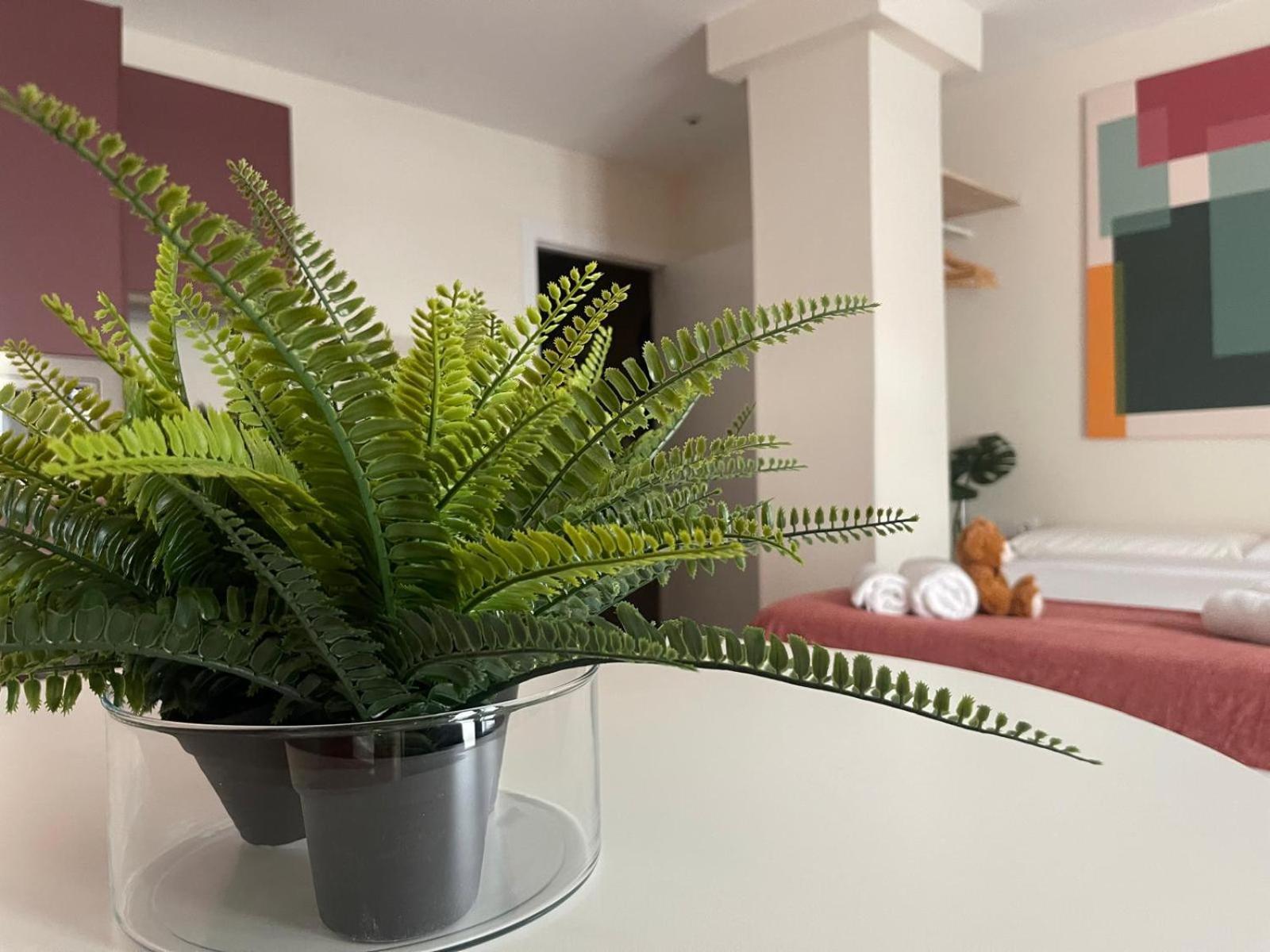Osito Hub - Pintor Nicolau Apartamento Valencia