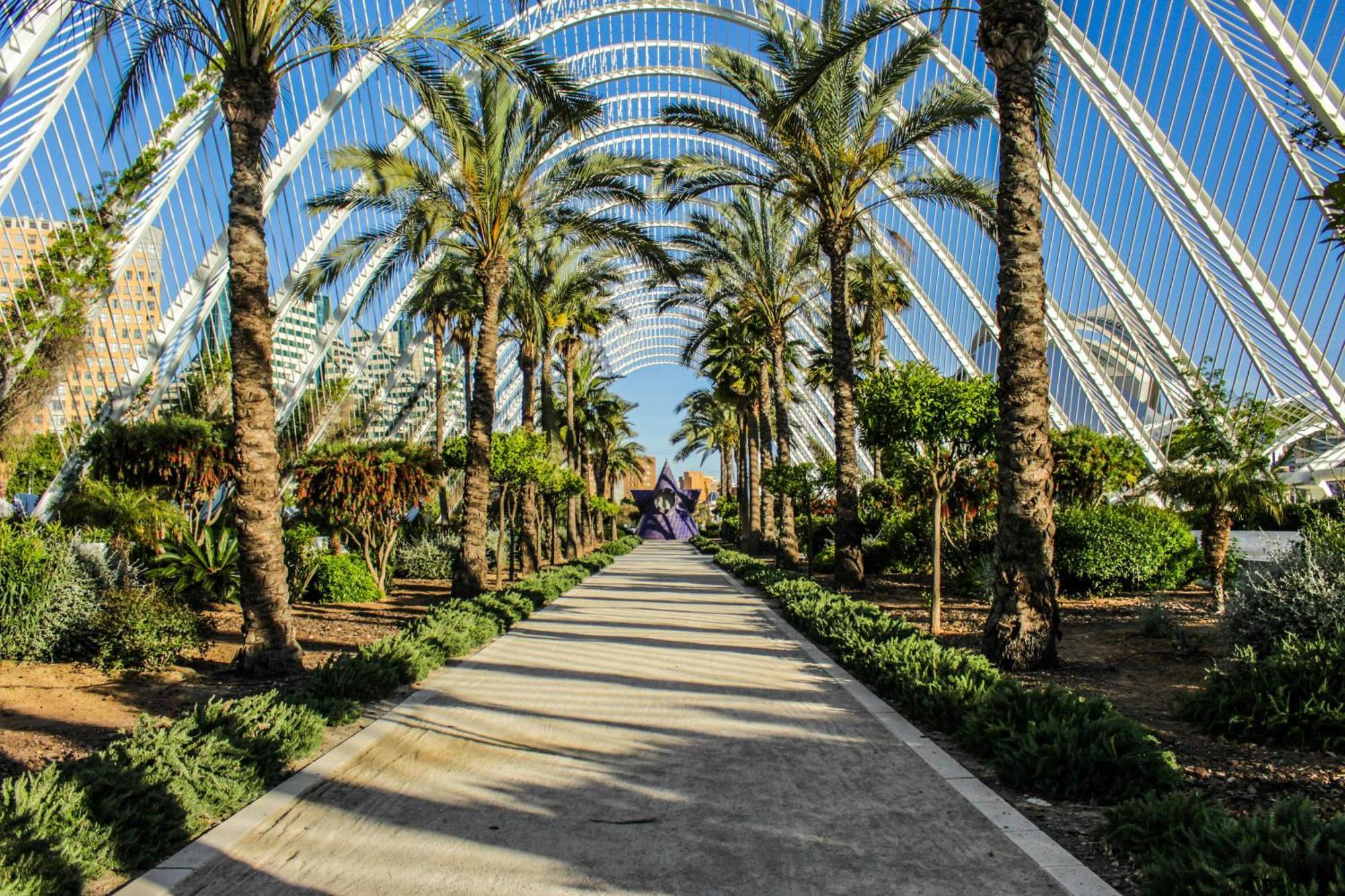 Loft Centrico - The Essence By Valeciagoapartments * Valencia