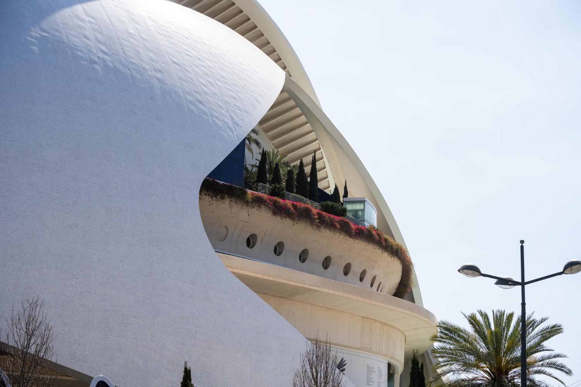 Junto Al Oceanografic * Valencia