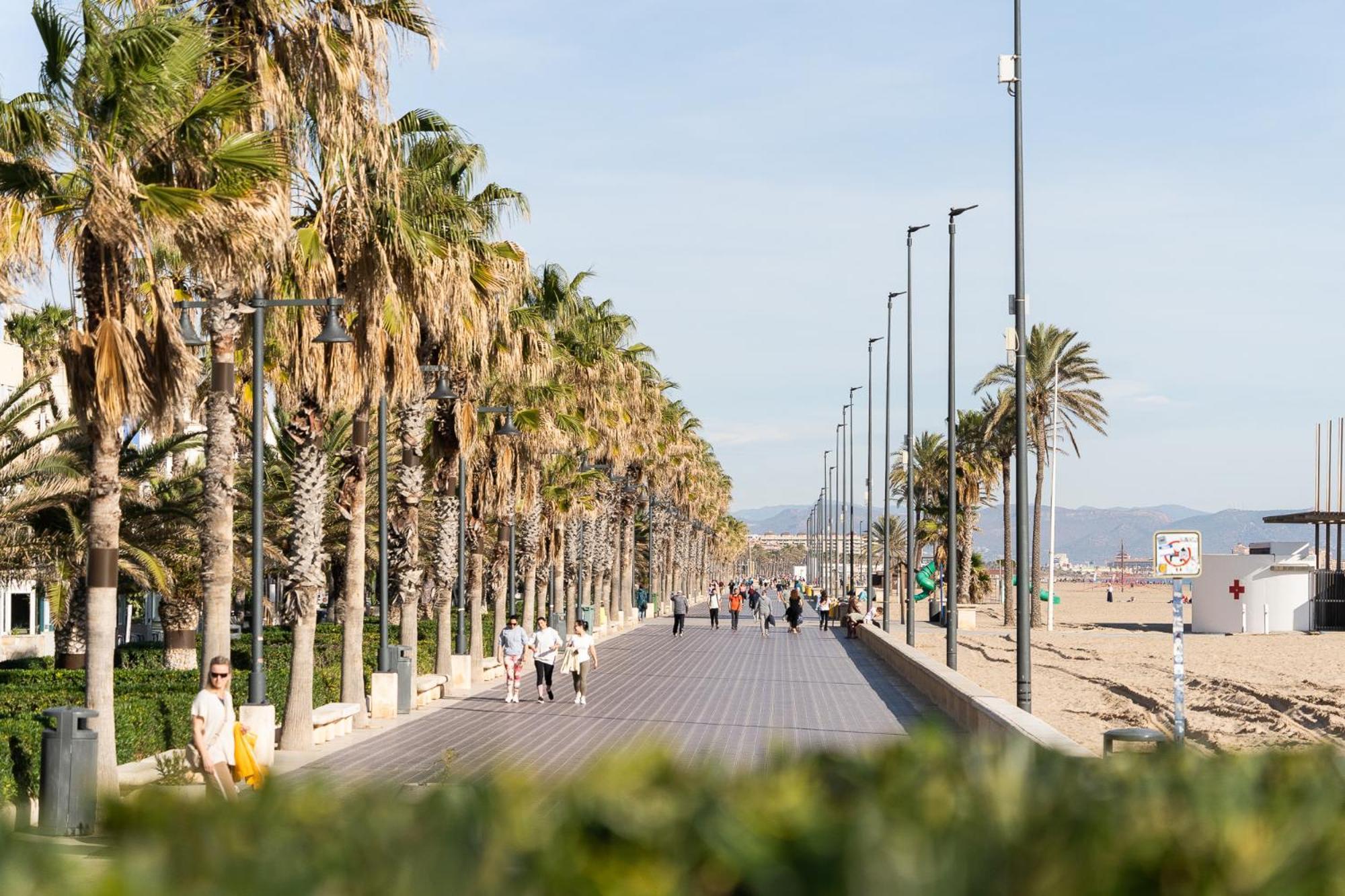 Junto Al Oceanografic Apartamento Valencia