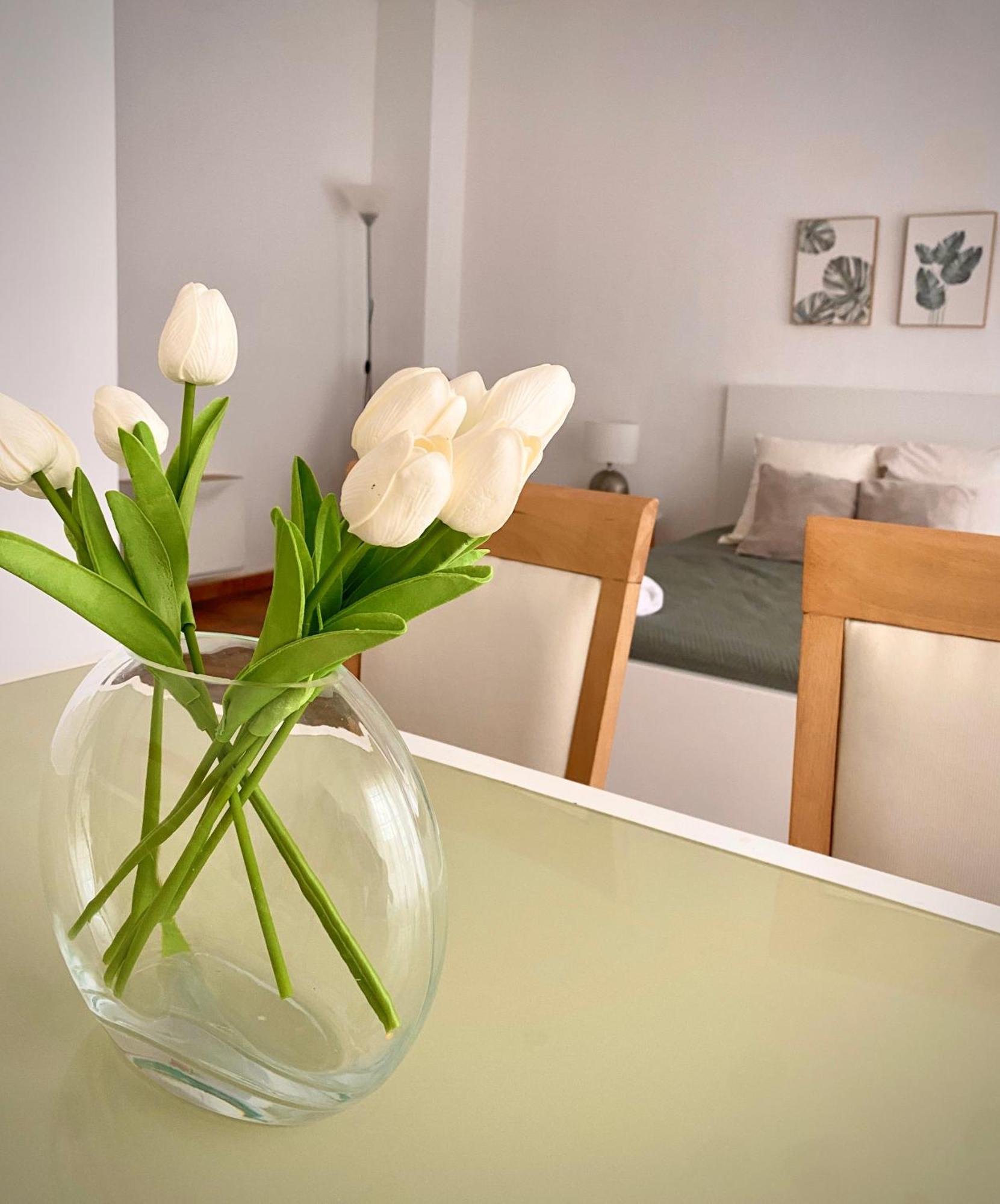 Apartamento Tierra Valencia