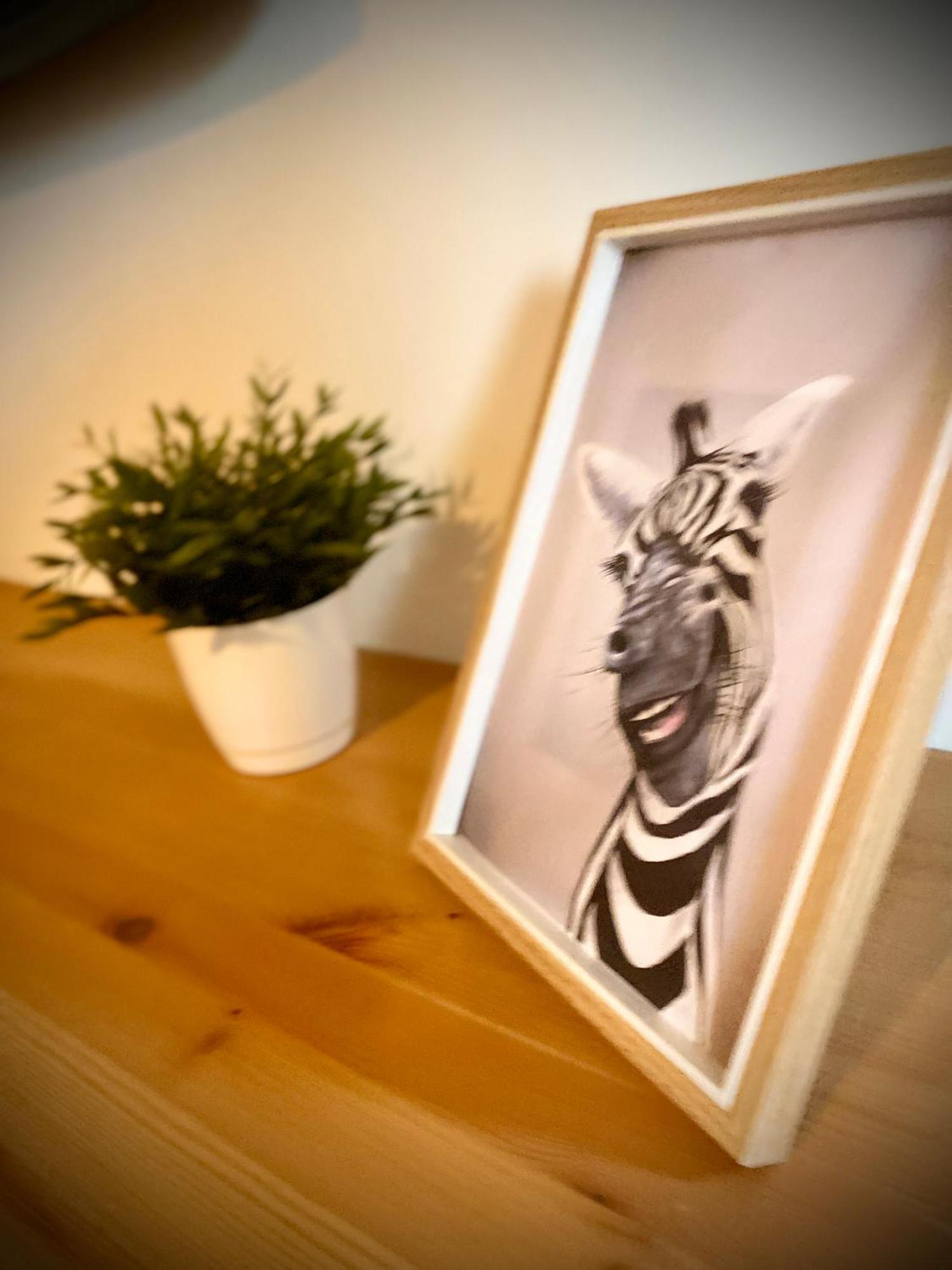 Apartamento Tierra *