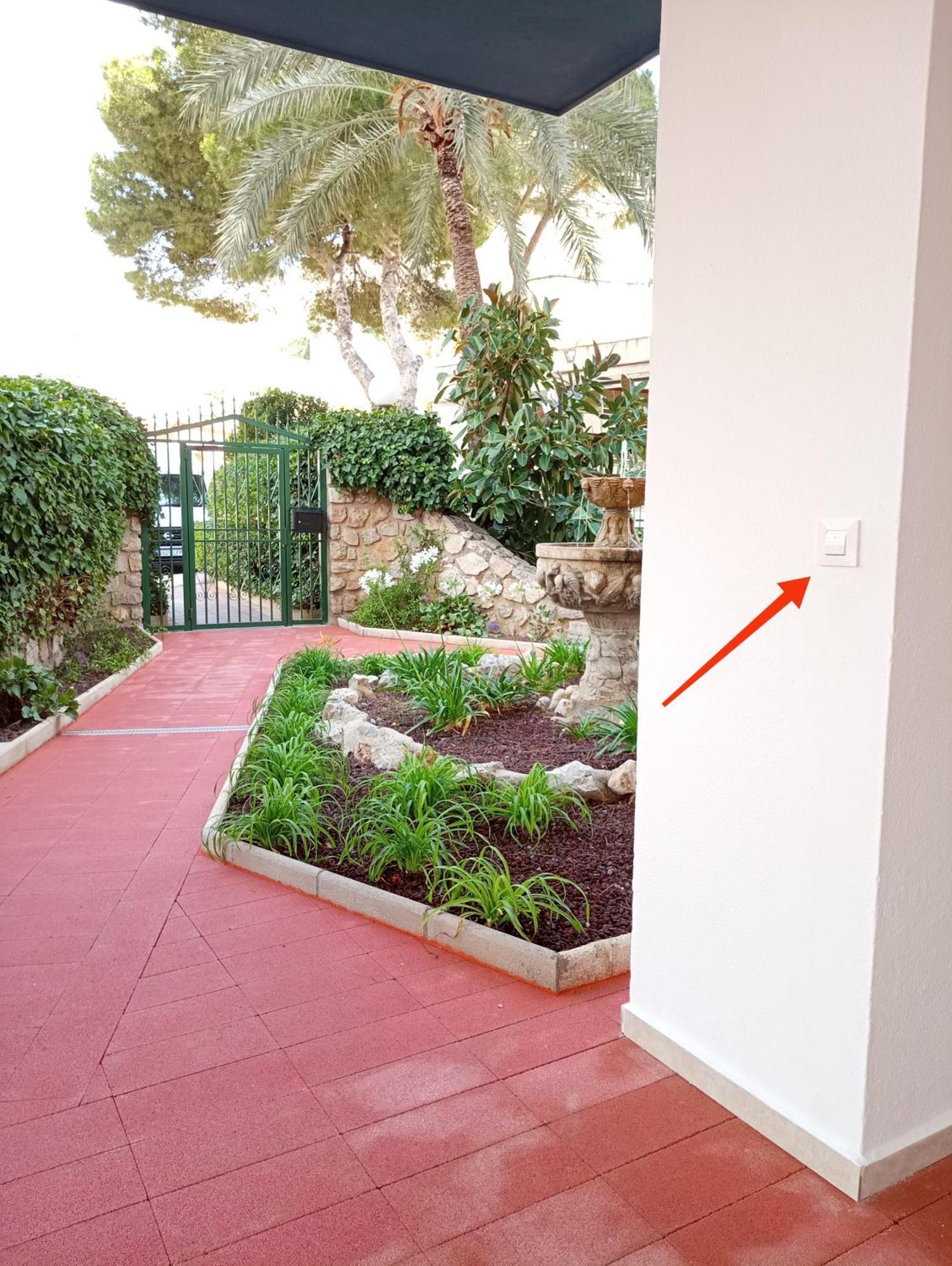 Almar Collection Cullera Racomar