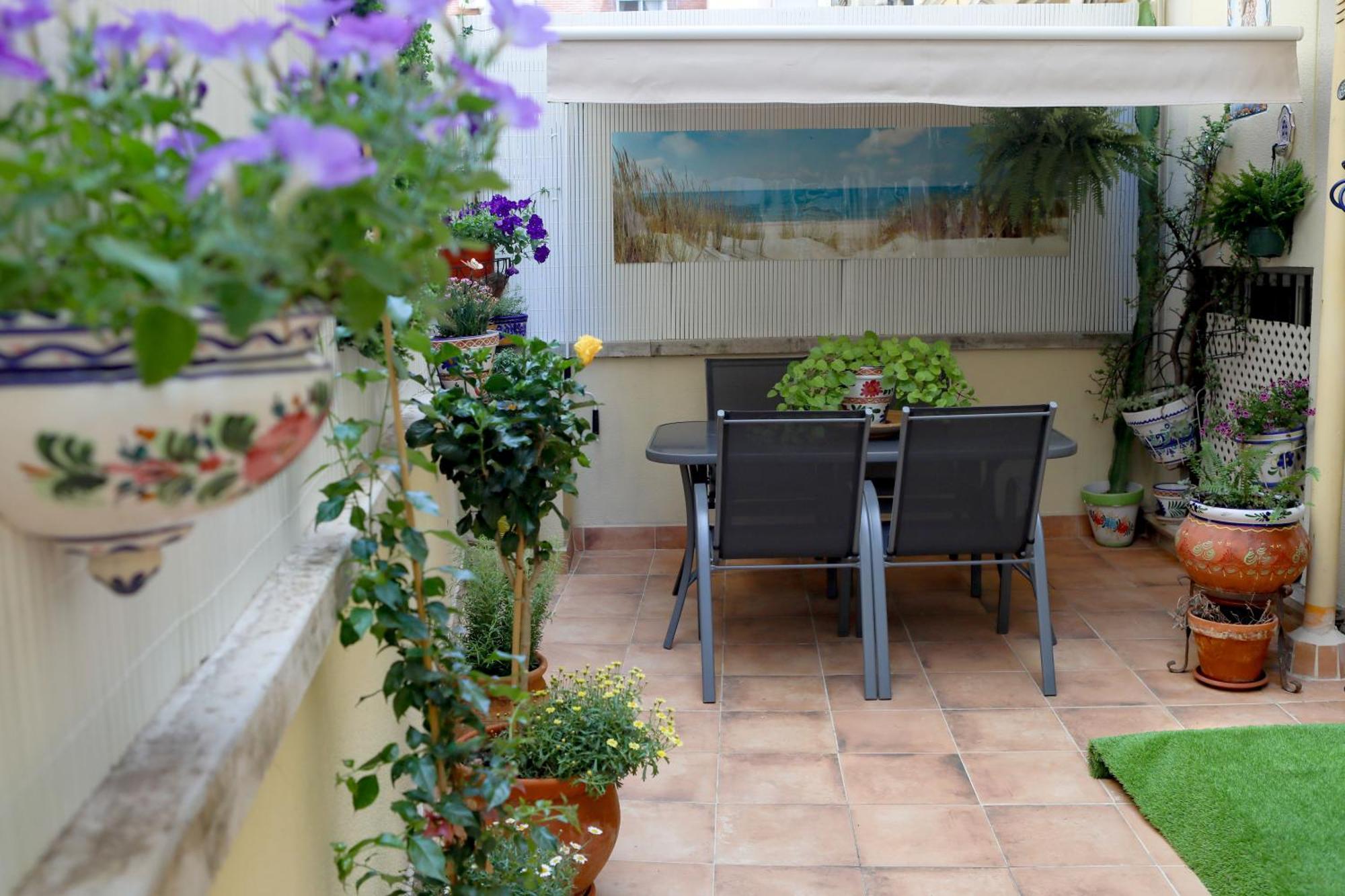 Lovely Near The & Of Arts And Sciences * Valencia