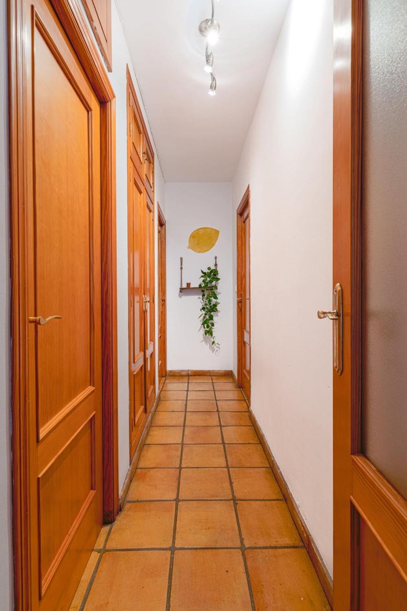 Apartment Musico Turia Gardens