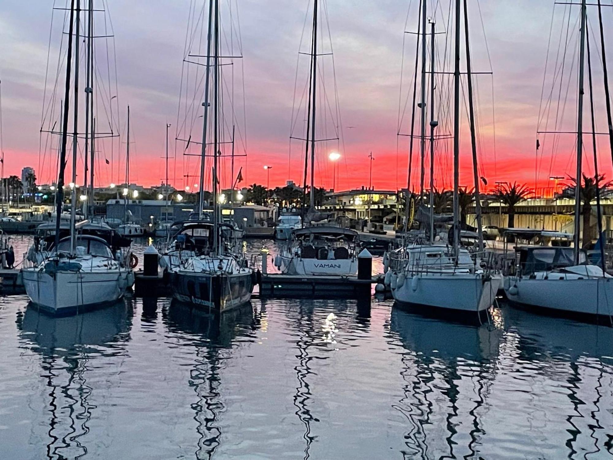 The Yacht Experience