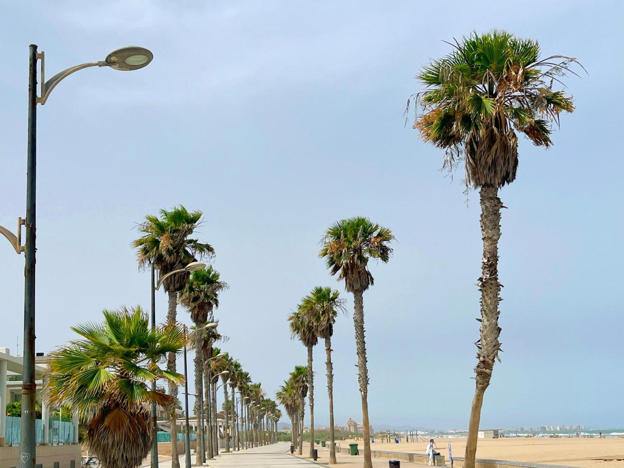 Apartamento Stylish Well-connected Beachfront Flat Valencia