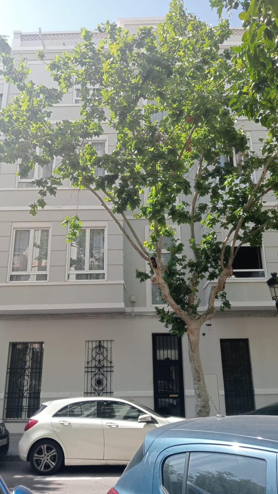 Florit Flats - The Patraix Apartment