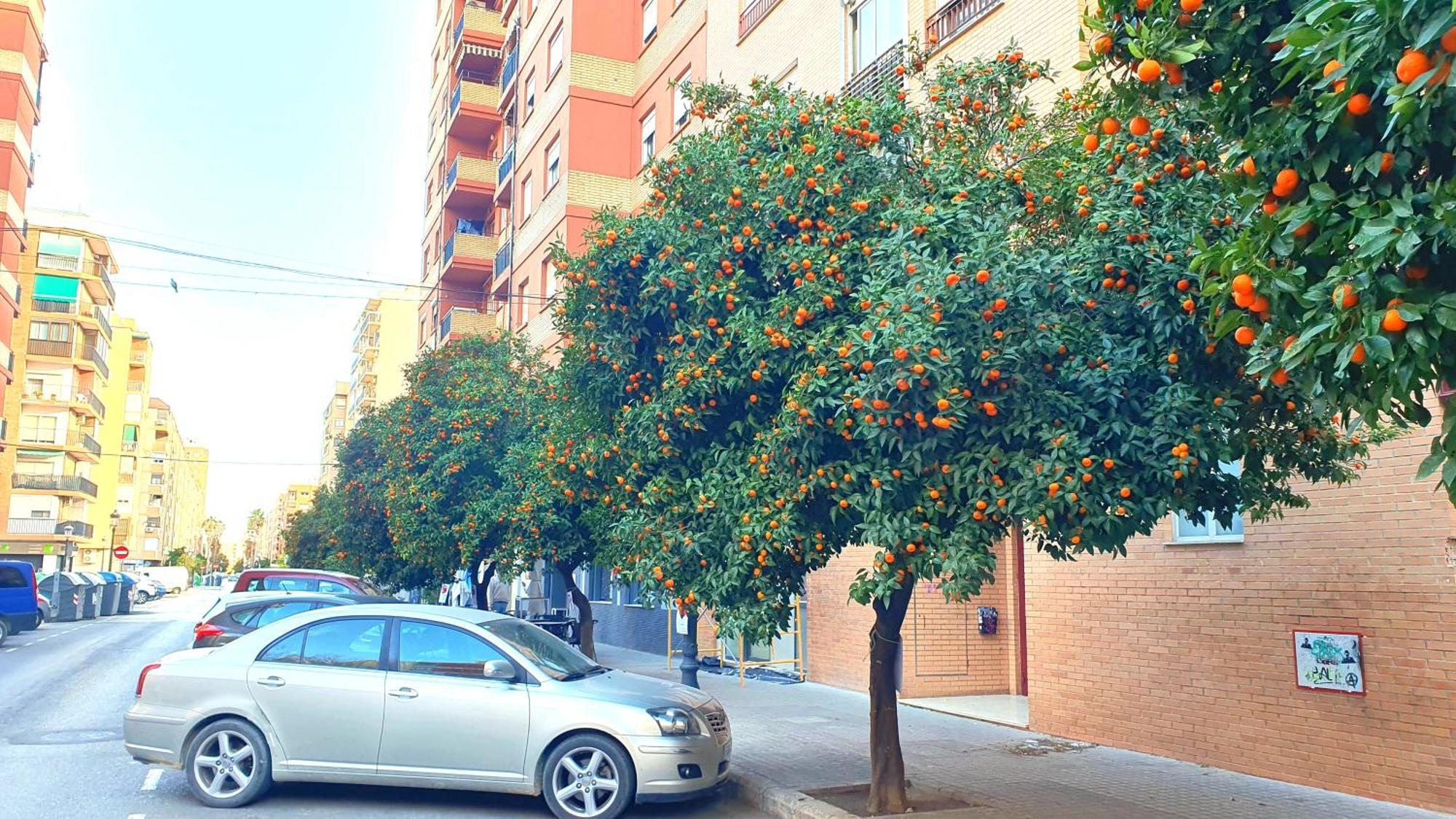 Apartamento Nuevo Costa Del Alma